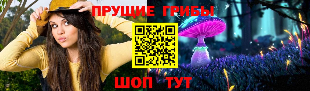 Елизово  Псилоцибиновые грибы прущие грибы  наркота  Вход с VPN 